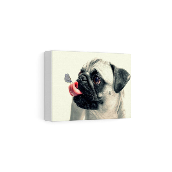 Pug With Butterfly Canvas Gallery Wraps