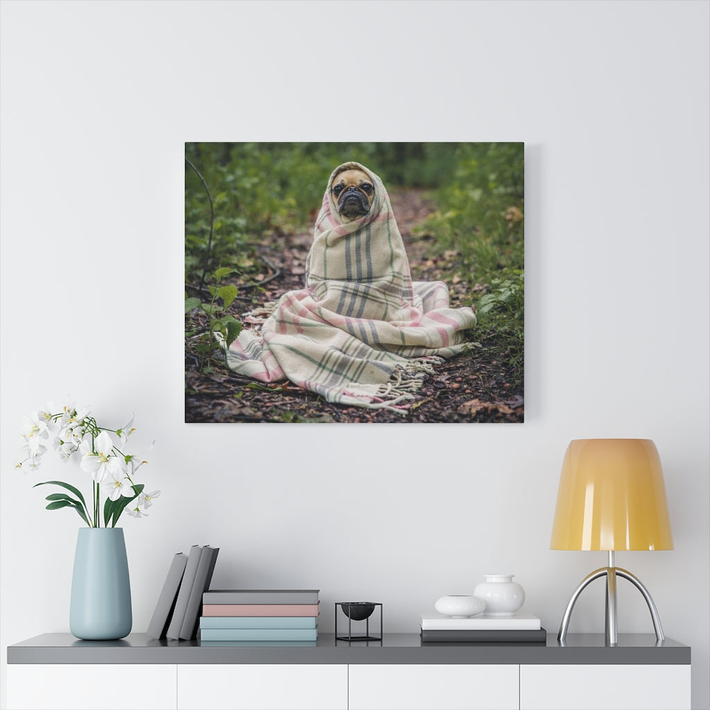 Pug In Blanket Canvas Gallery Wraps