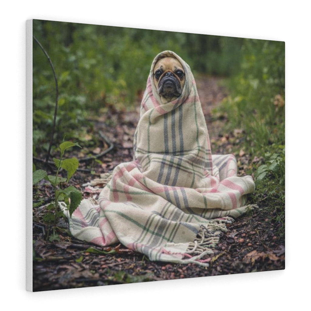 Pug In Blanket Canvas Gallery Wraps