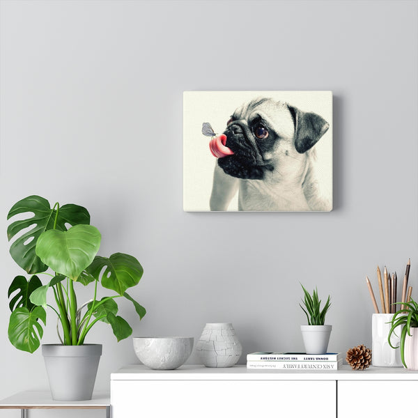 Pug With Butterfly Canvas Gallery Wraps